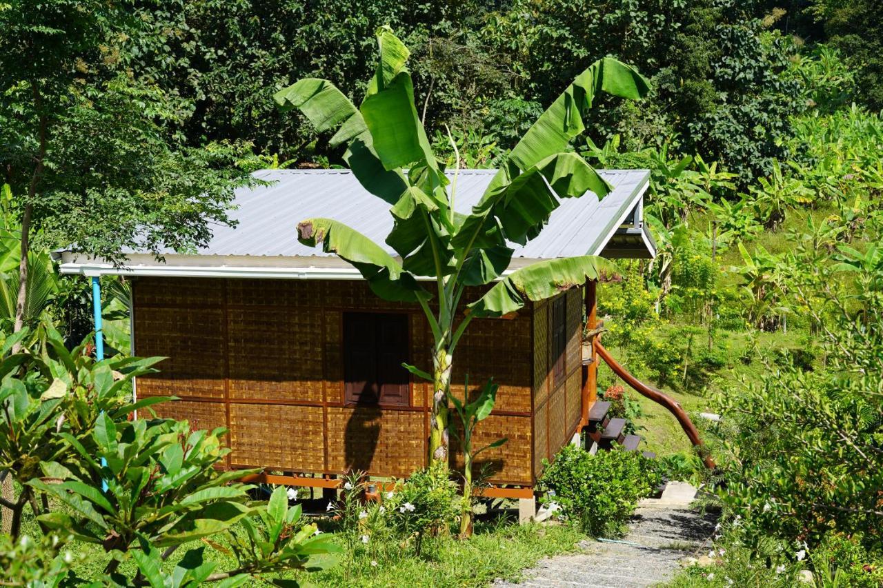 True Nature Chiang Mai - Yoga & Meditation Homestay Retreat Bagian luar foto