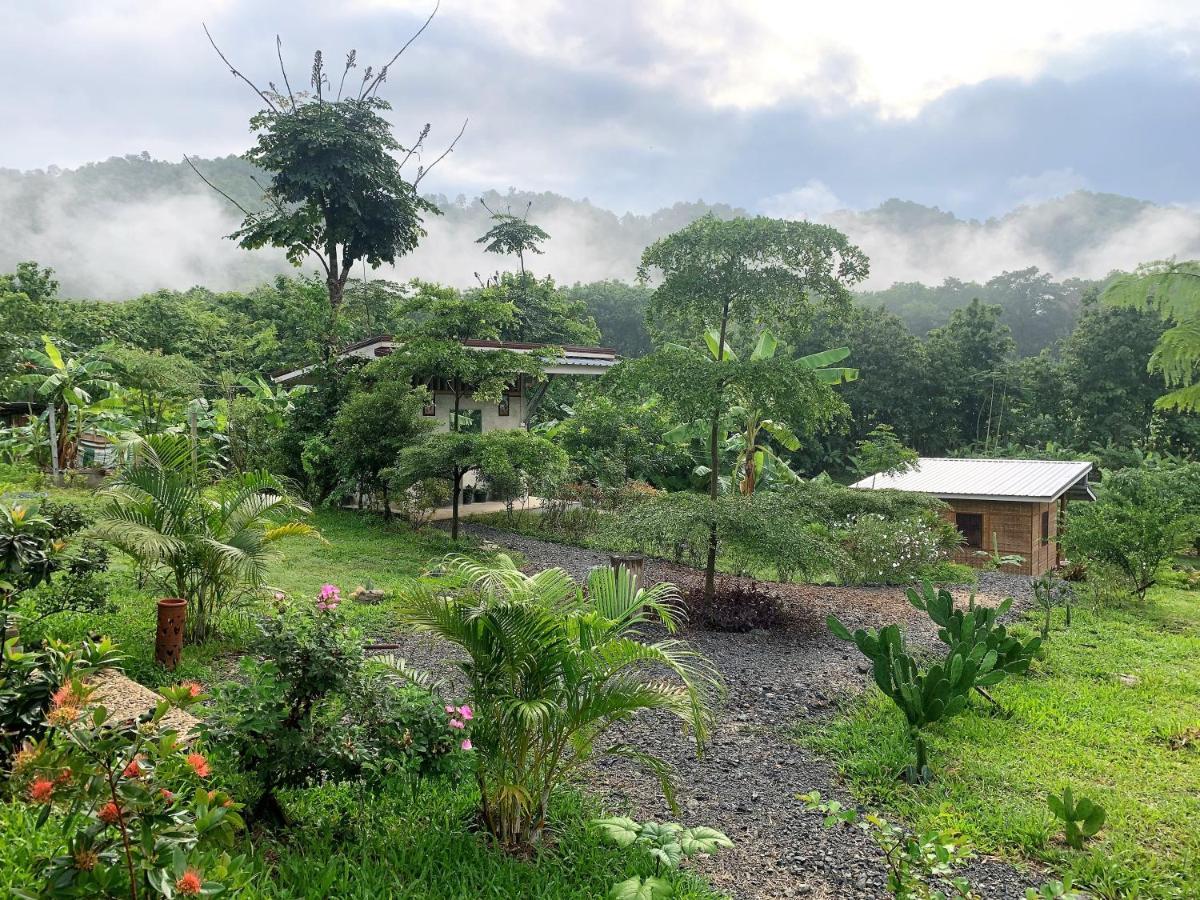 True Nature Chiang Mai - Yoga & Meditation Homestay Retreat Bagian luar foto