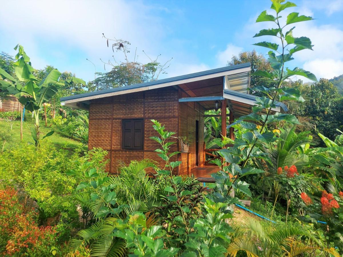 True Nature Chiang Mai - Yoga & Meditation Homestay Retreat Bagian luar foto