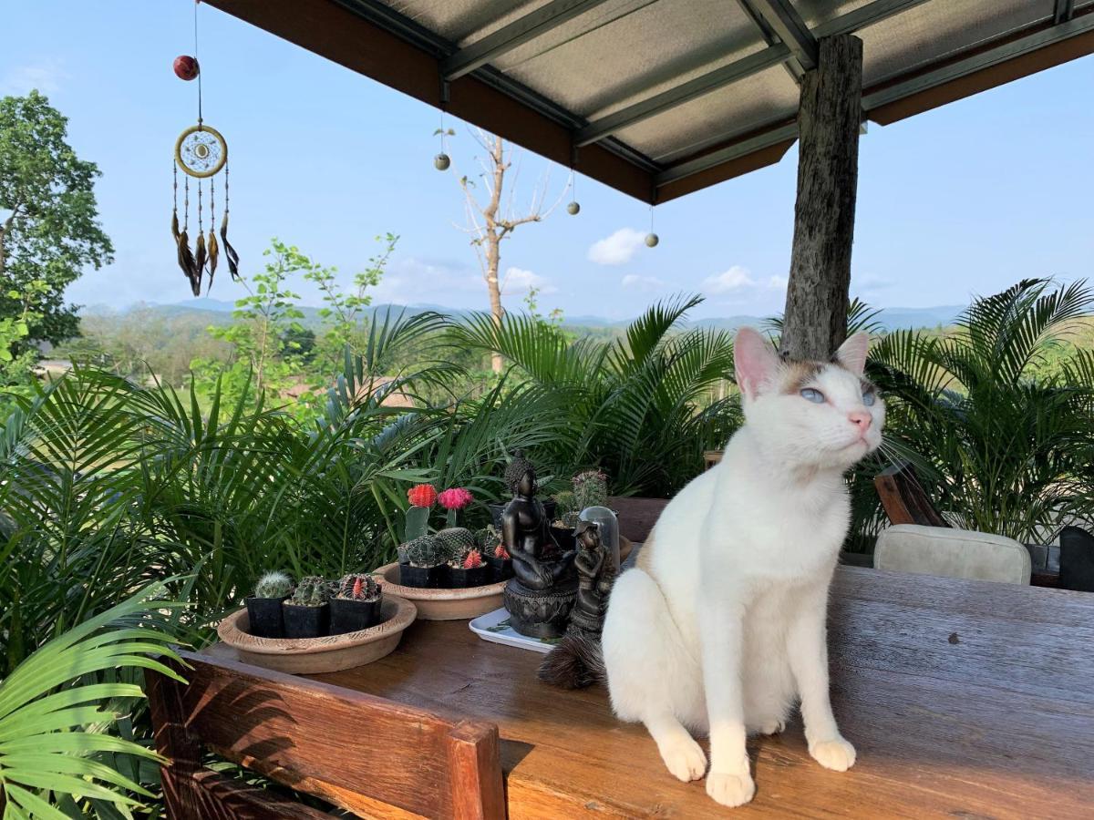 True Nature Chiang Mai - Yoga & Meditation Homestay Retreat Bagian luar foto