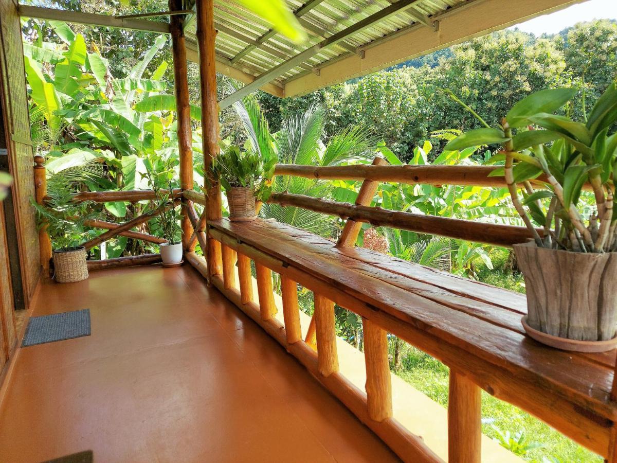 True Nature Chiang Mai - Yoga & Meditation Homestay Retreat Bagian luar foto